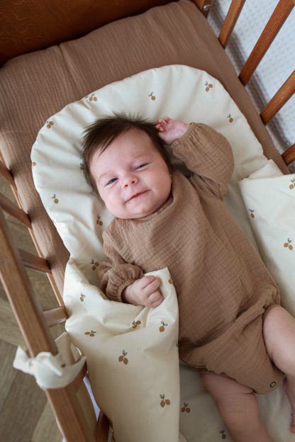 IMG_1604 IMG_1604